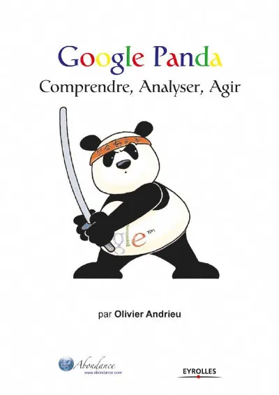 Visuel de Google Panda