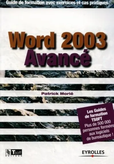 Visuel de Word 2003 avancé